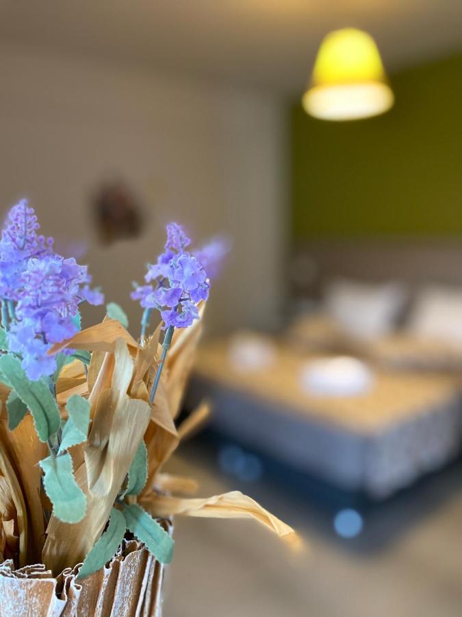 Sea View Luxury Apartments 普拉基亚斯 外观 照片